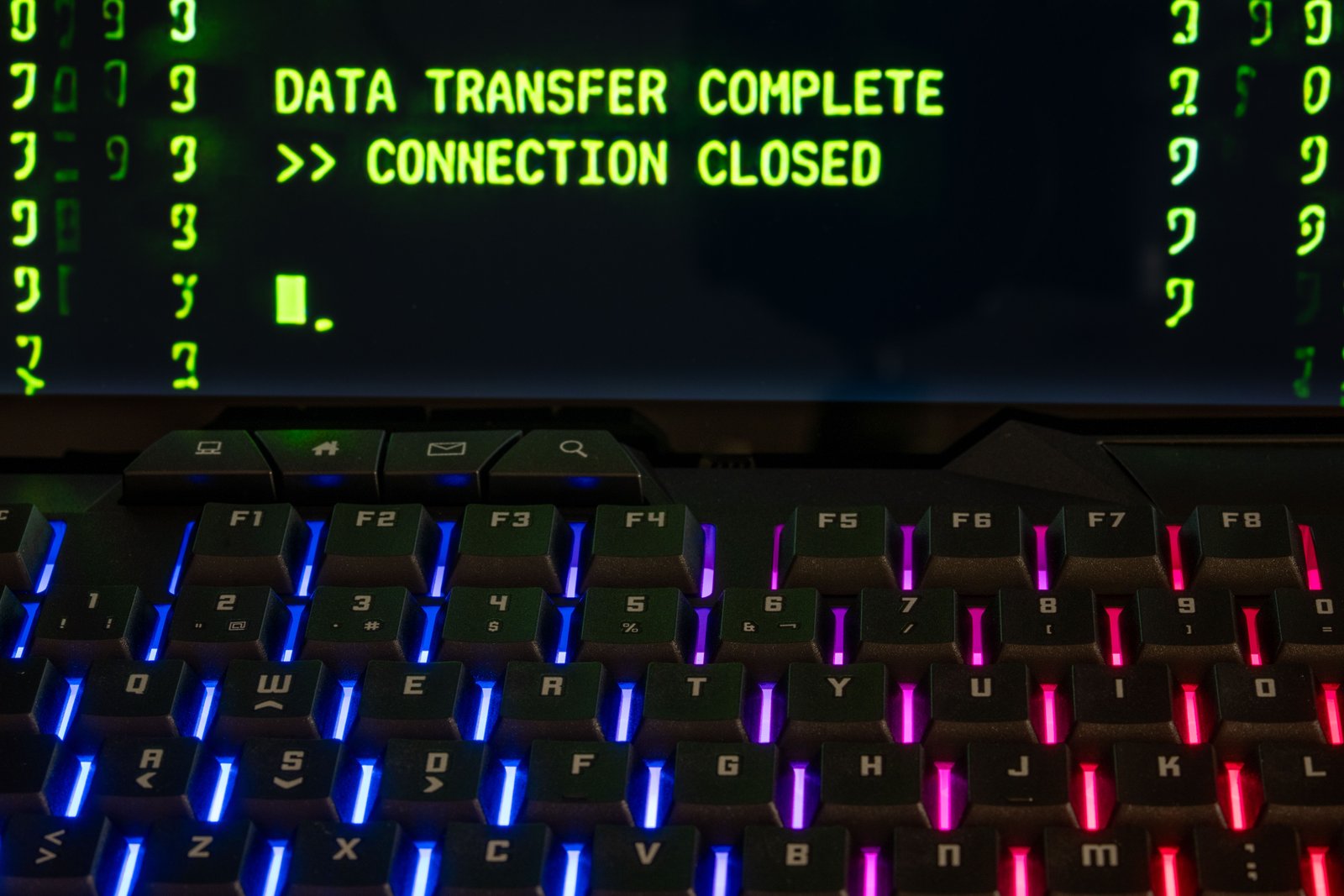 Network cables connected to a server to illustrate open ports on Linux